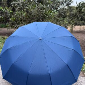 12 Stick Umbrella - Blue