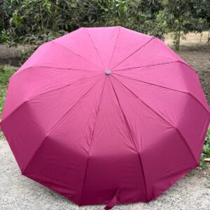 12 Stick Umbrella - Maroon