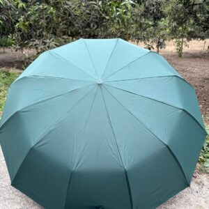 12 Stick Umbrella - Green